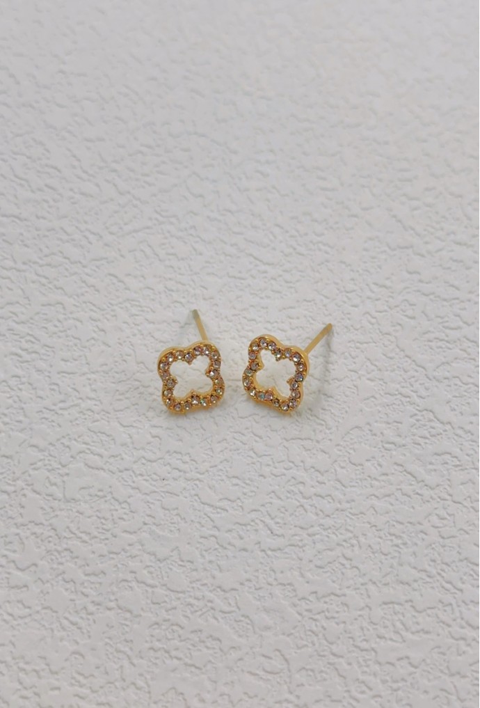 BOUCLE D'OREILLE EN ACIER INOXYDABLE