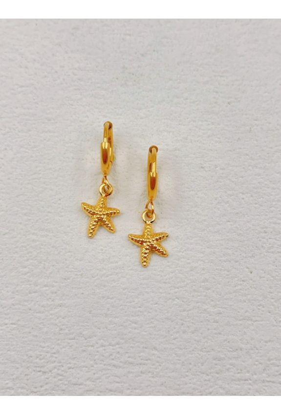 BOUCLE D'OREILLE EN ACIER INOXYDABLE