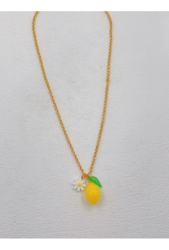 COLLIER EN ACIER INOXYDABLE