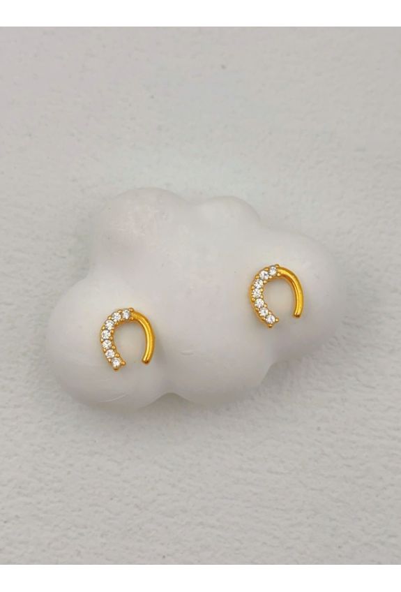 BOUCLE D'OREILLE EN ACIER INOXYDABLE