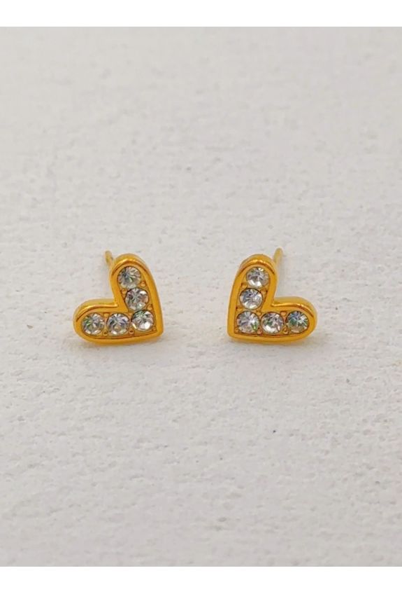 BOUCLE D'OREILLE EN ACIER INOXYDABLE