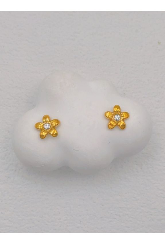 BOUCLE D'OREILLE EN ACIER INOXYDABLE
