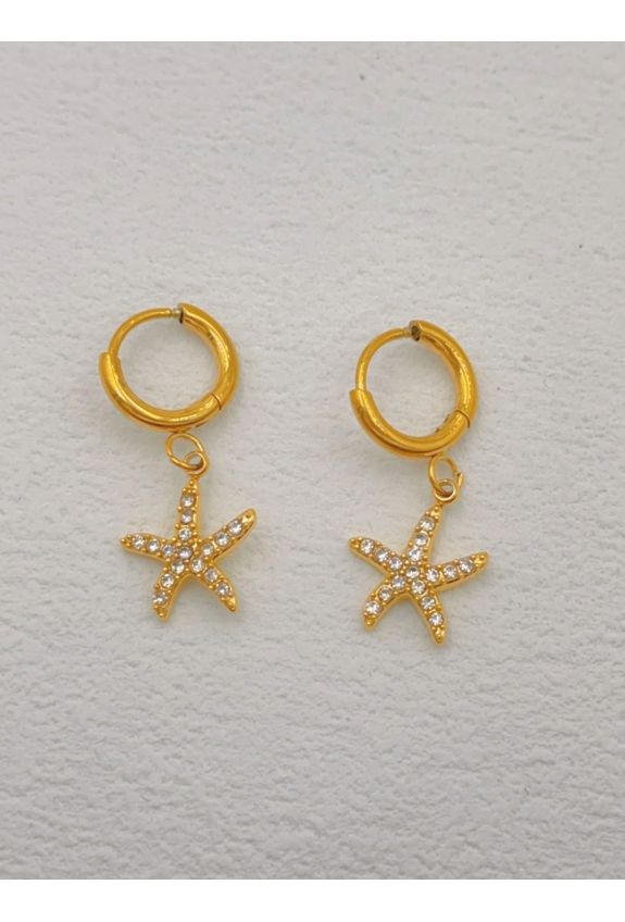 BOUCLE D'OREILLE EN ACIER INOXYDABLE