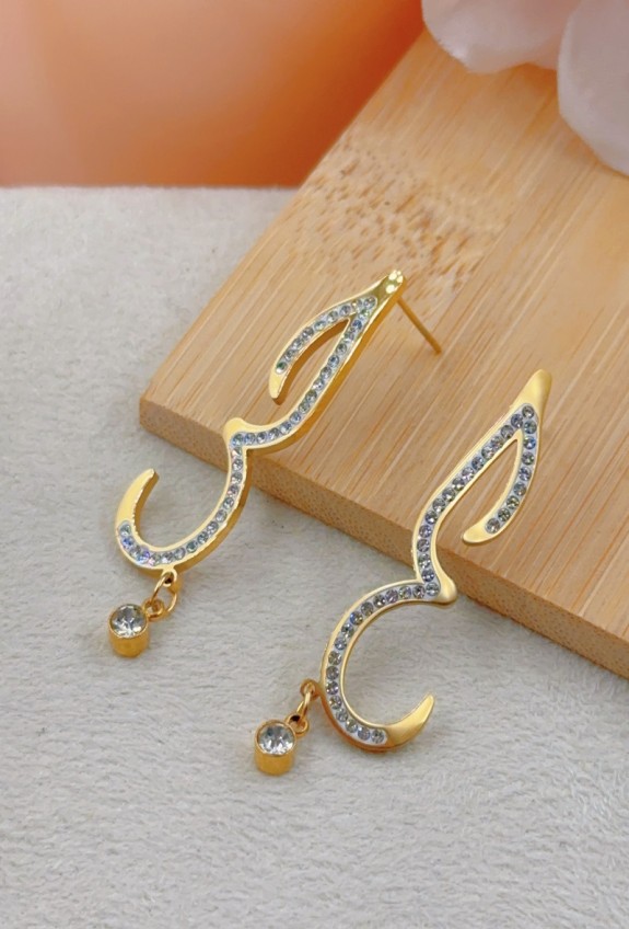 BOUCLE D'OREILLE EN ACIER INOXYDABLE